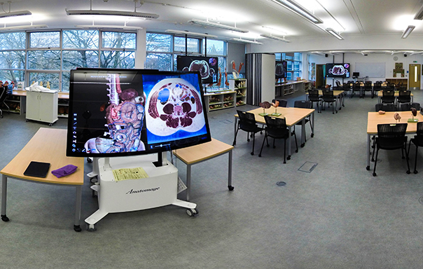 Anatomage Table